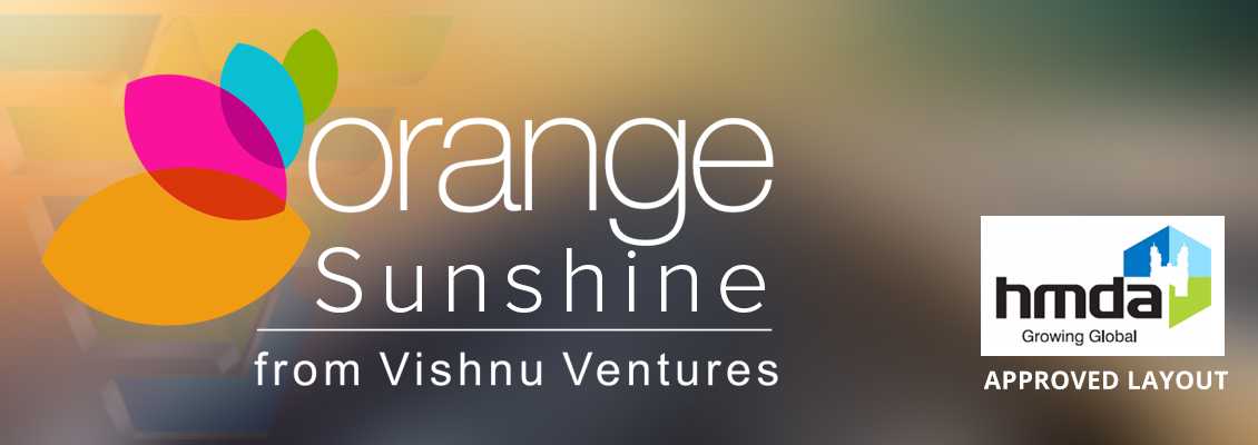 orange sunshine banner approved layout